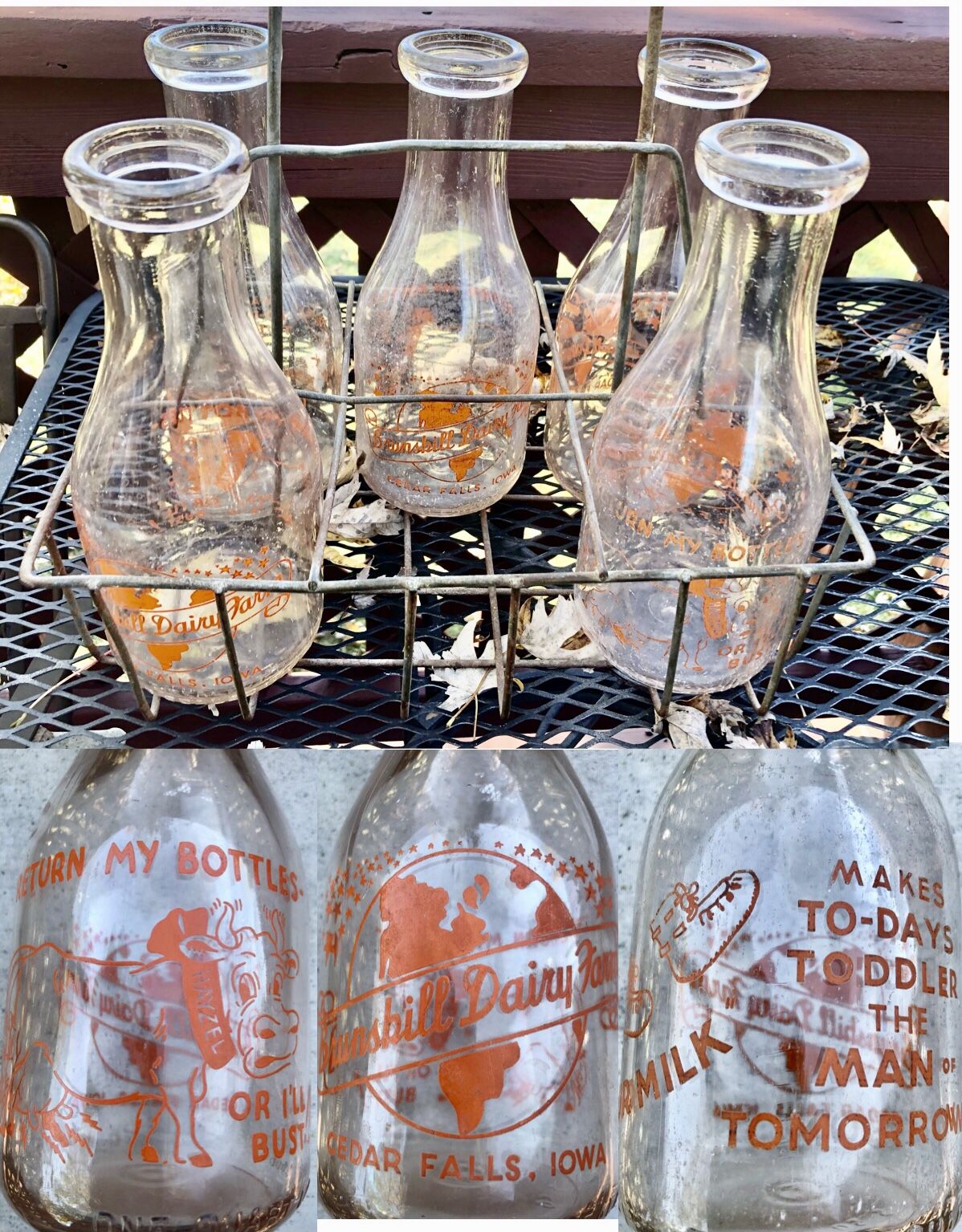 5 Vintage Milk Bottles AND Authentic Wire Carrier, Brunshill Dairy Farm, Cedar Falls, Iowa $135