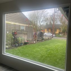 Living Room Window
