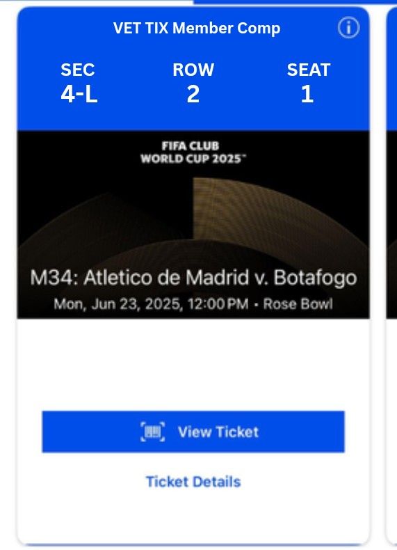 Atletico De Madrid Vs Botafogo