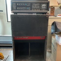  Peavey Bass Head And Speaker  $350 Or B-0