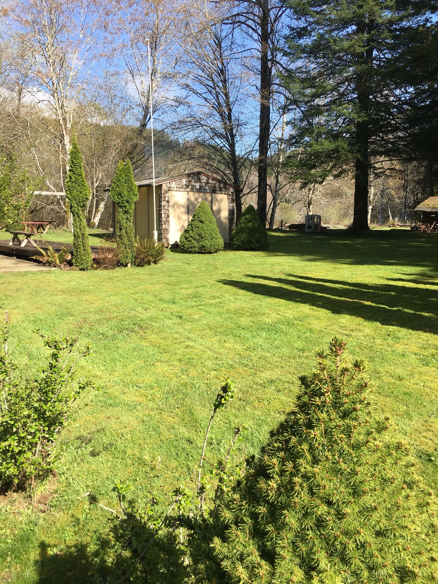 Wynoochee wildwood Lots