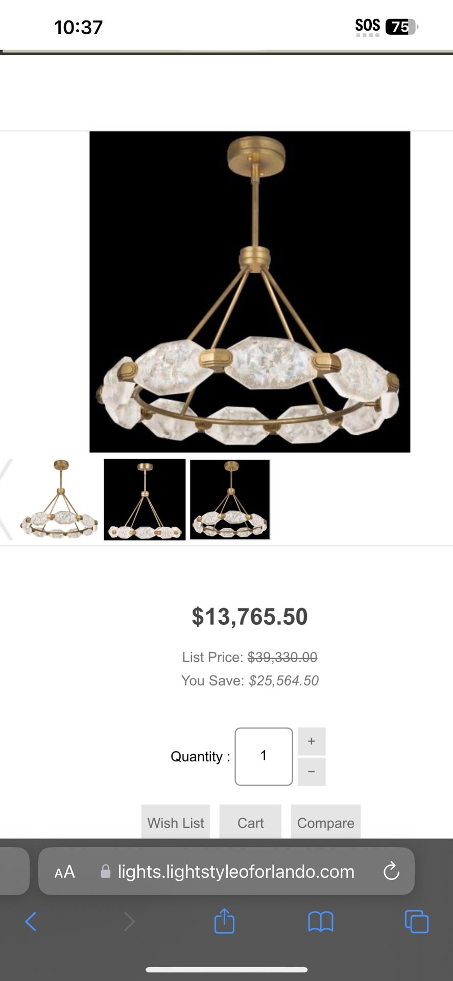 Brand New Chandelier