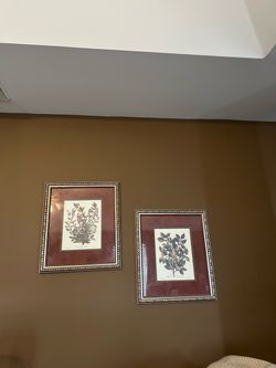Matching framed botanical prints
