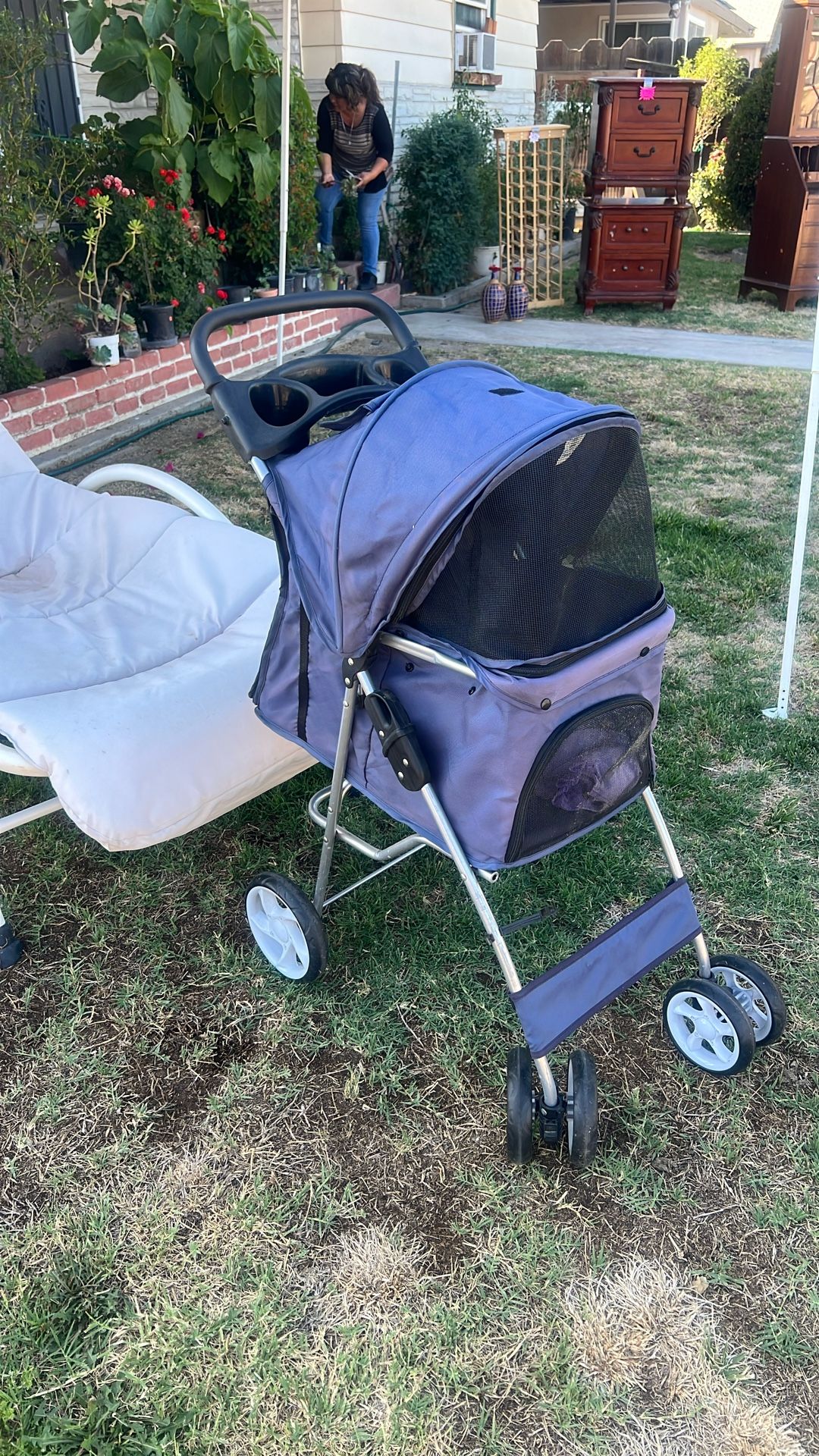 blue dog stroller