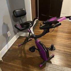 Fitnation Upright & Recumbent Flex Bike Express/Echelon