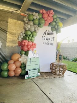 Snoopy Baby Shower Backdrop