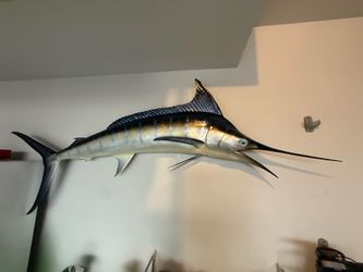 🎣 VINTAGE 1978 LYONS & O'HAVER 8' MARLIN WALL MOUNT 🎣