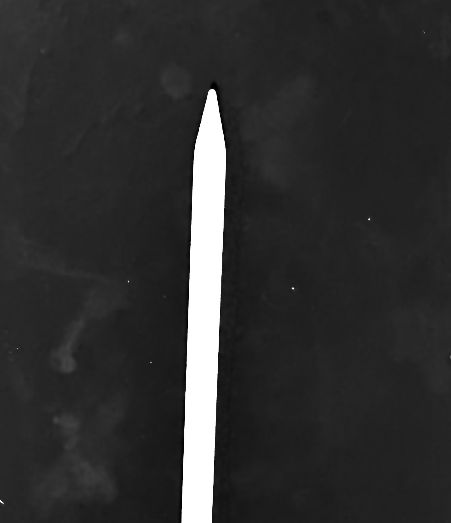 APPLE©️ PENCIL PRO LIKE NEW