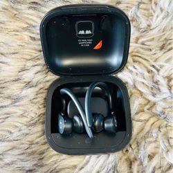 Beats Powerbeats Pro Wireless Earbuds - Apple H1 Headphone Chip