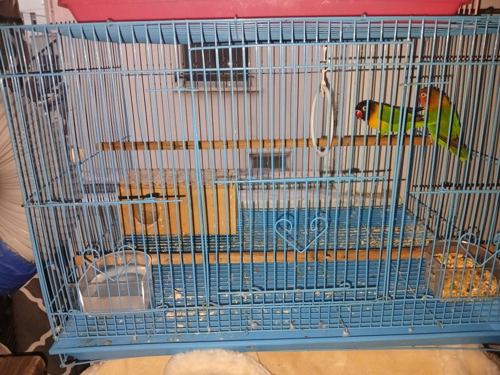 Cage