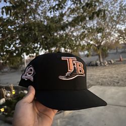 Tampa bay rays fitted