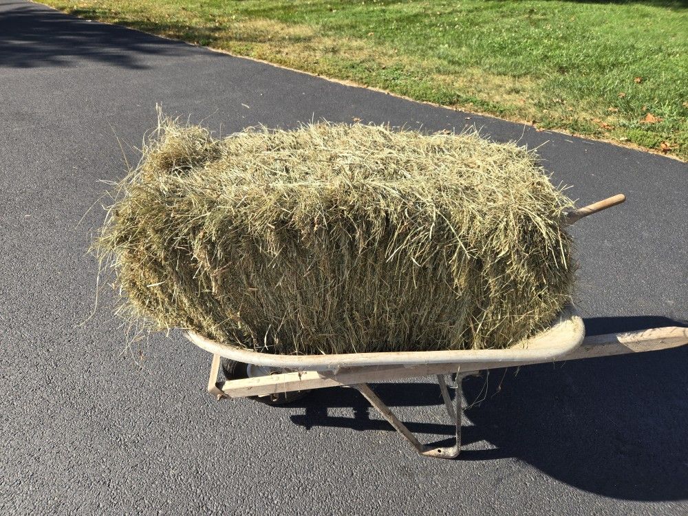 Hay for sale