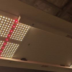 HLG 350R LED grow light (330 Watts)