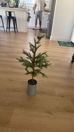 Decor Xmas Perfec Condition