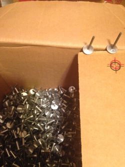 100 Pop Rivets. Race car special.