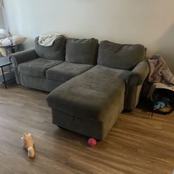 Pull Out Sleeper Sofa With Storage Chaise (FREE)