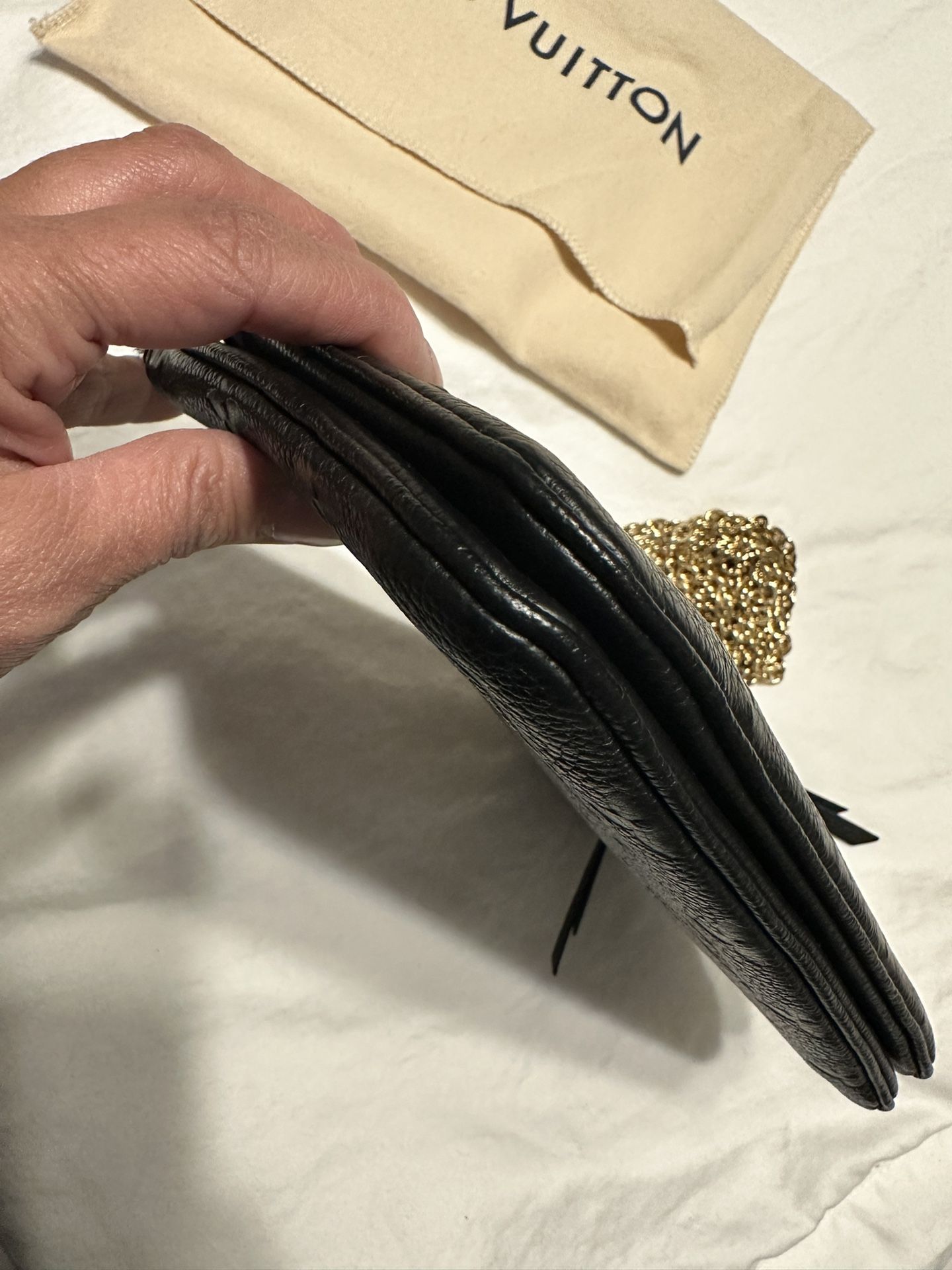 Louis Vuitton Double Zip Pochette