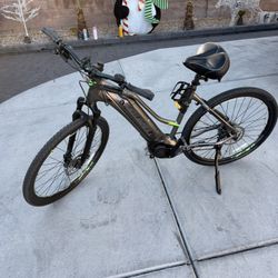 Electric Giant Bicycle