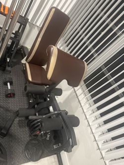 Premium Bench With Preacher Pad And Leg Workout