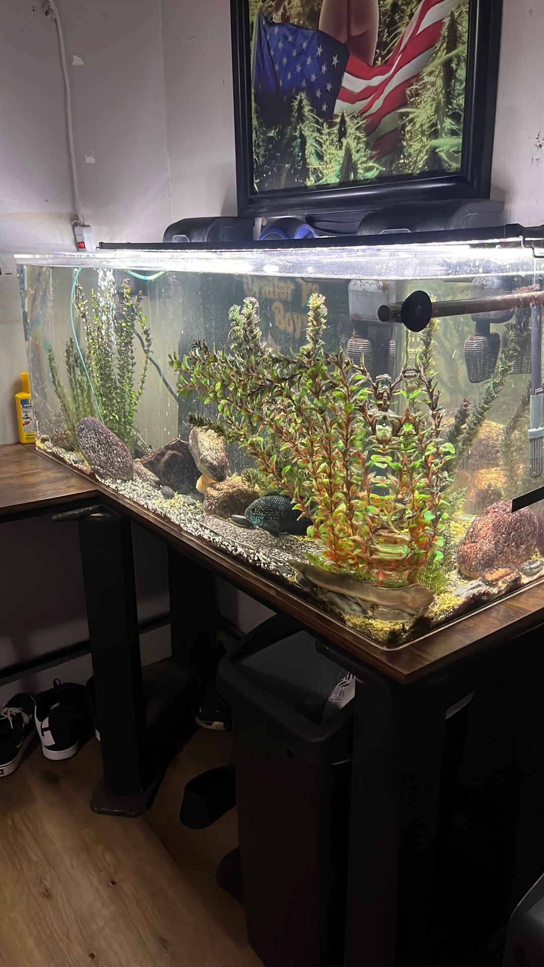 70 Gallon Fish Tank