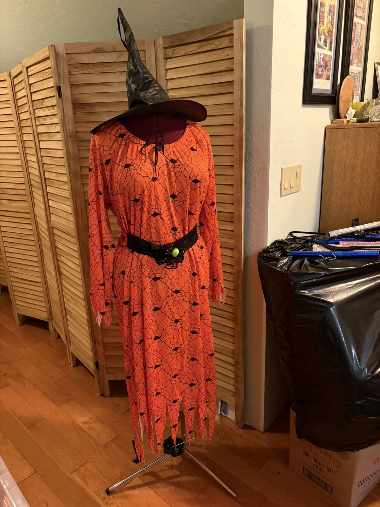 Spider Witch Costume With Belt And Hat