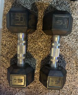 15 pound old weights