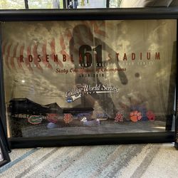 College World Series 2010 Official Poster