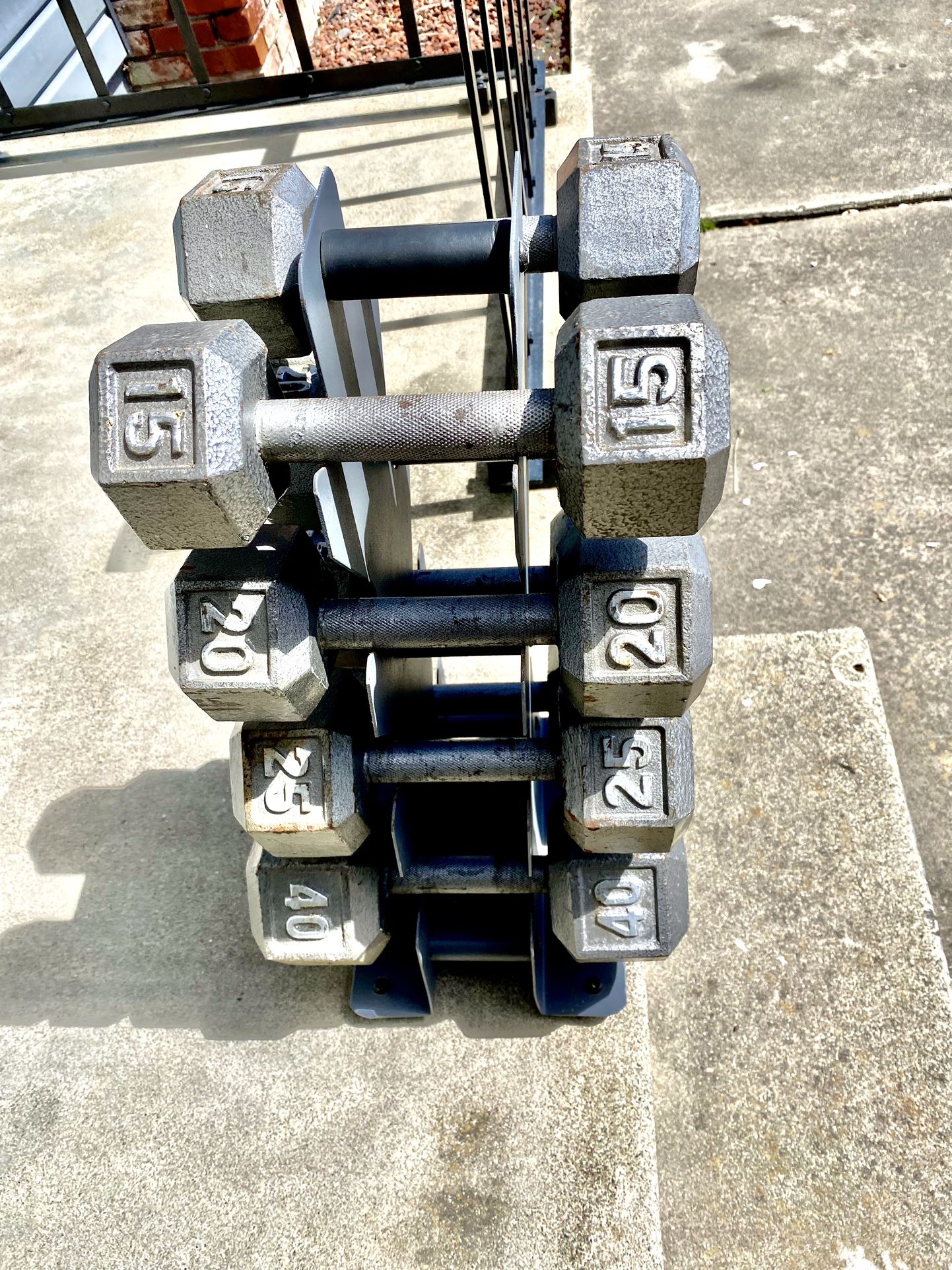 Dumbells Gold Gym with rack