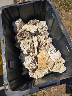 Dry aquarium rocks