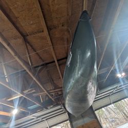 Discovery Scout Damaged And Repaired Canoe