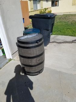 Drain catch