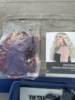 Women Hocus Pocus Costume