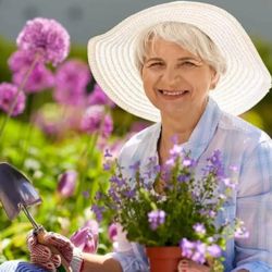 Gardening PLANTS   Care 