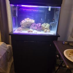 20 Gallon Tank And Stand