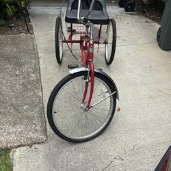 Adult bicycle 
