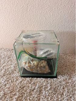 Fish Tank