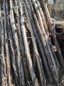 Cedar Staves