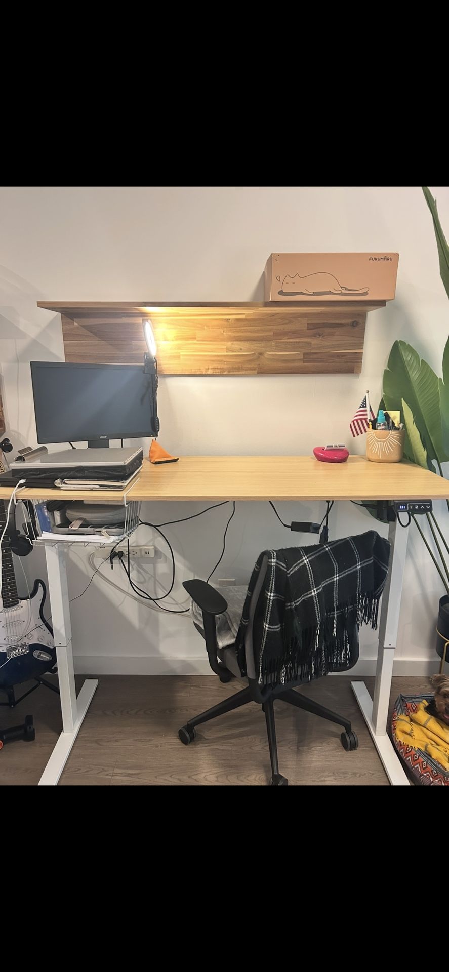 Standing Desk Including Delivery /monitor/chair