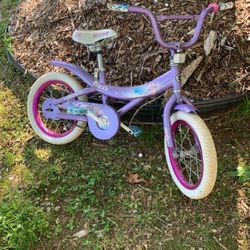 Purple Bike