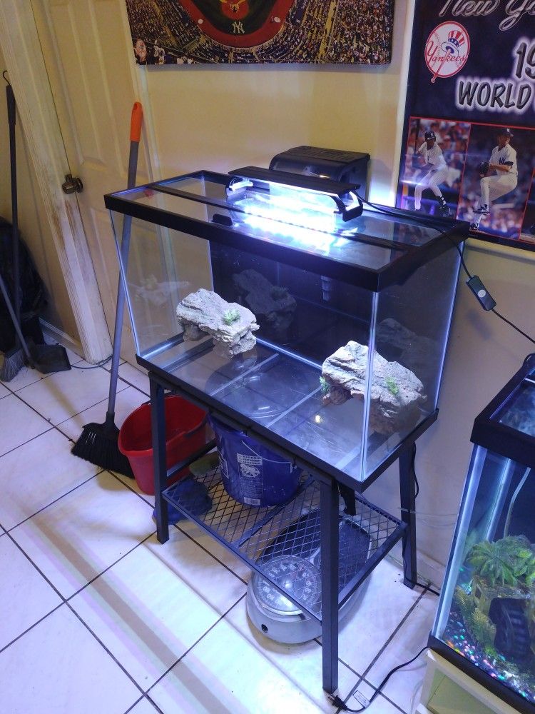 29 Gal Aquarium