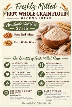 Fresh Milled Wheat Flour