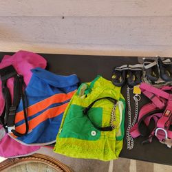 Dog Accessories!