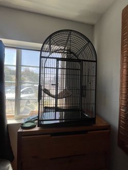 wrought iron dome top parrot cage