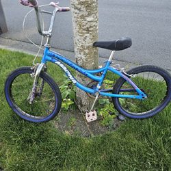 Kid Bike Magna, 20", Good For 4-9 Years 
