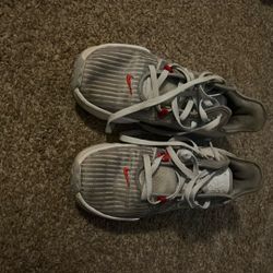 Nike LeBron Witnesses 