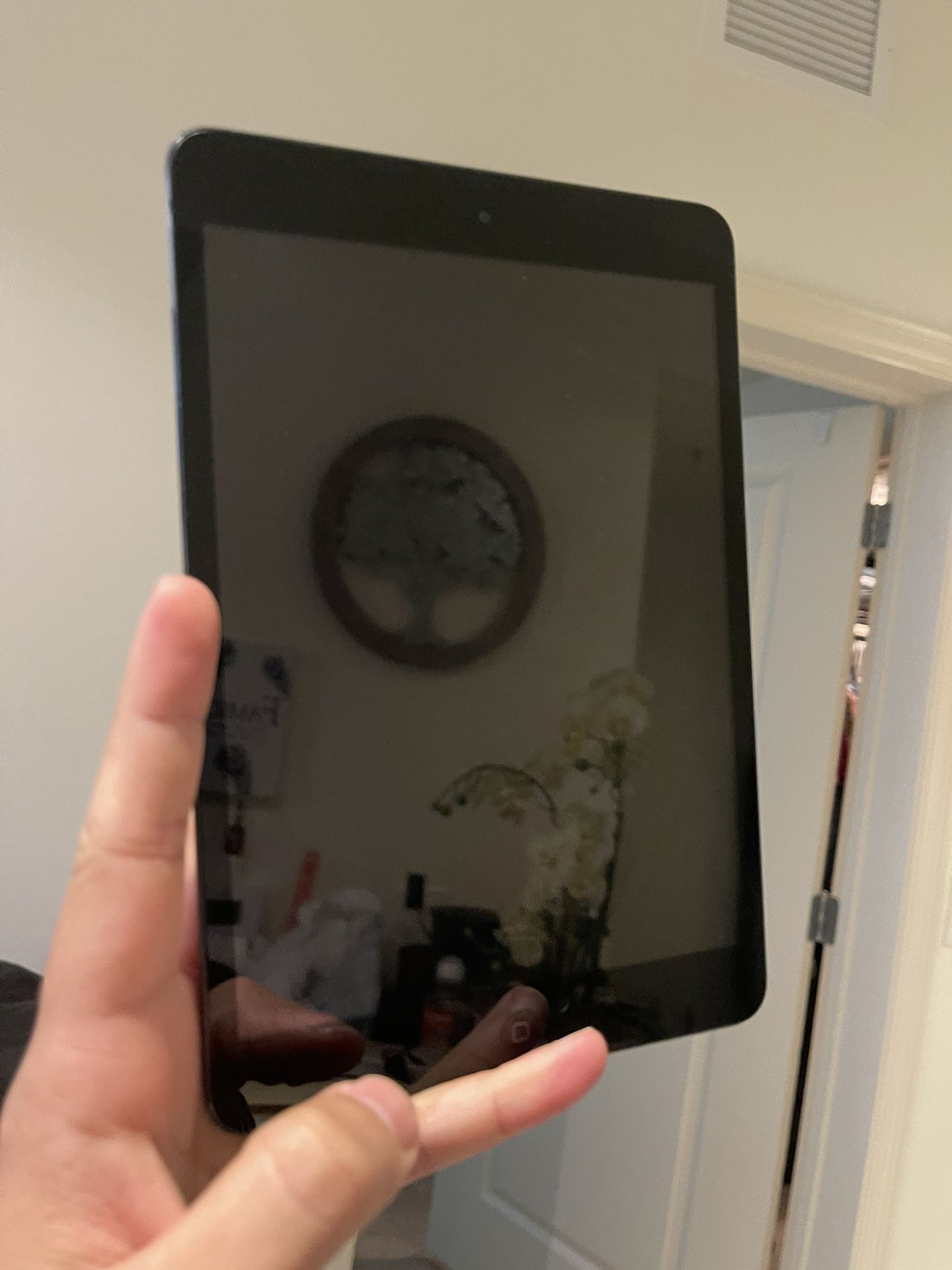 iPad Mini Model A1432