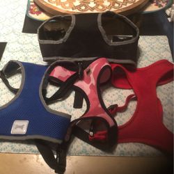 Lot Of Dog Harnesses For Small Dogs