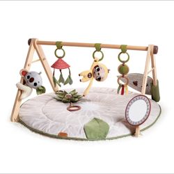 Diary Baby Play Gym & Activity Mat