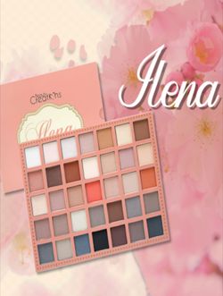 New eyeshadow palette great picmentation