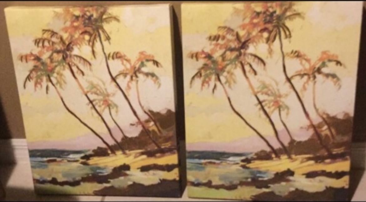 New Painted Canvas $40 Each